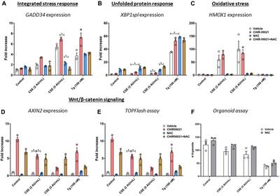 Cigarette smoke restricts the ability of mesenchymal cells to support lung epithelial organoid formation